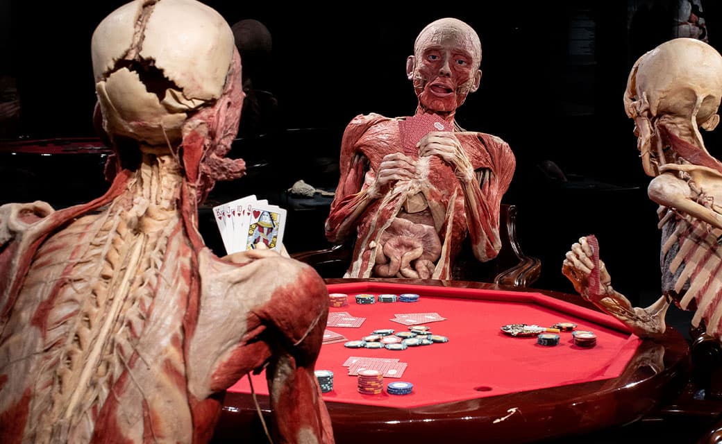 BODY WORLDS London